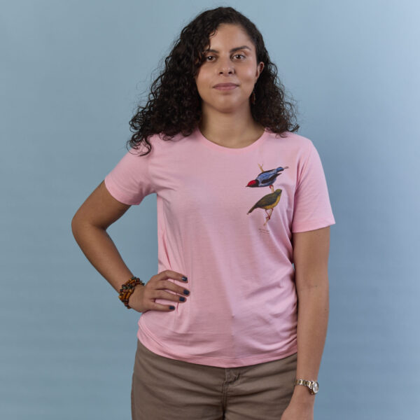 Tangará-dançarino rosa